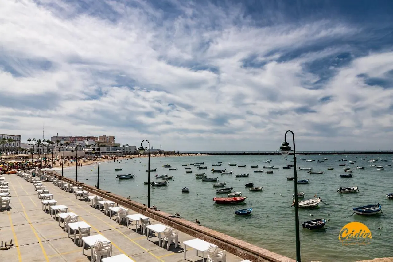 Corralon De Los Carros By Cadiz Time 0*,